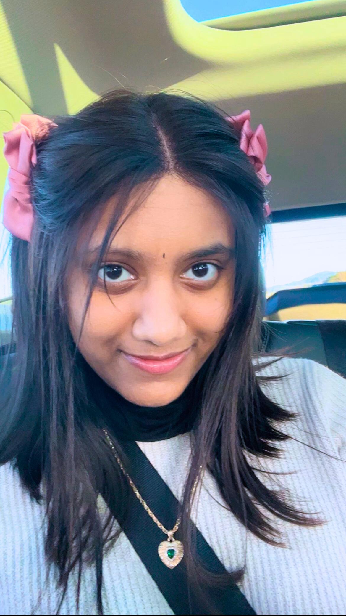 Profile Picture of Krishna Priya